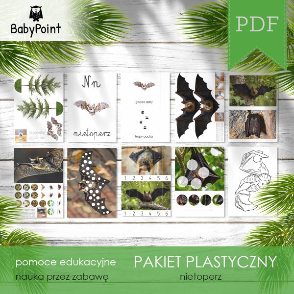Pakiet plastyczny - NIETOPERZ