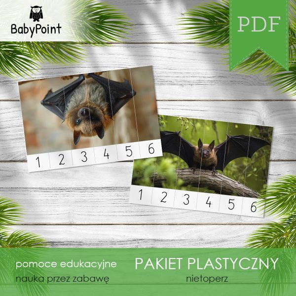 Pakiet plastyczny - NIETOPERZ