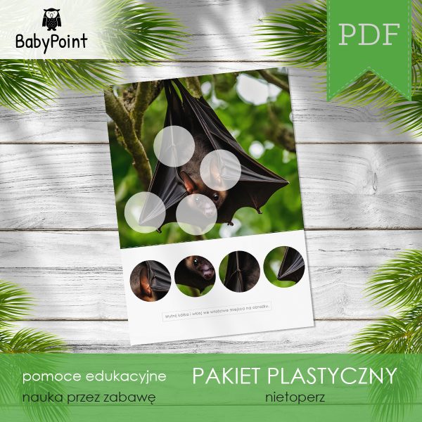 Pakiet plastyczny - NIETOPERZ
