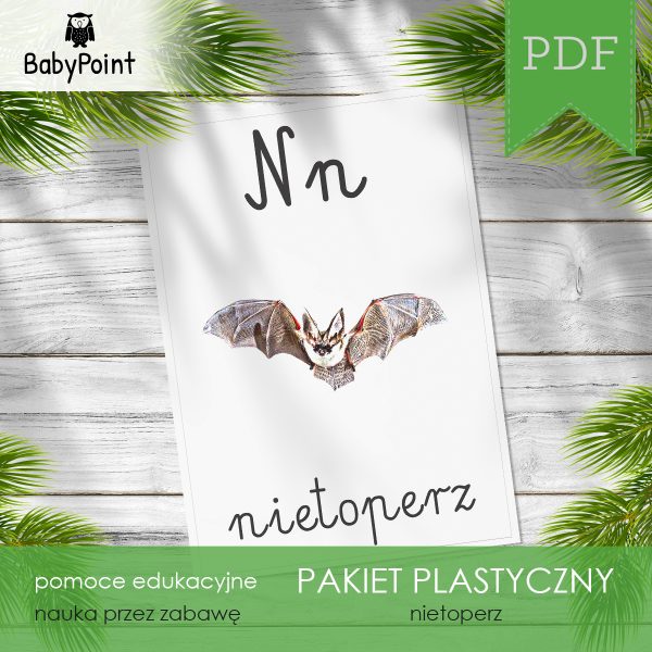 Pakiet plastyczny - NIETOPERZ