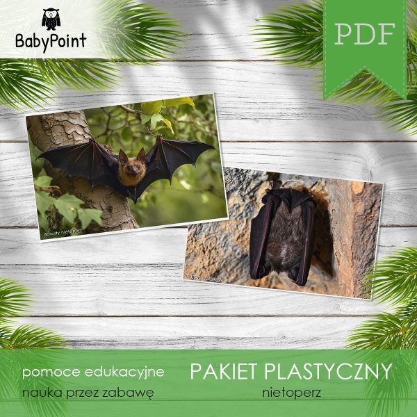 Pakiet plastyczny - NIETOPERZ