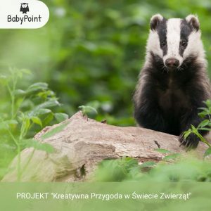 Projekt edukacyjny