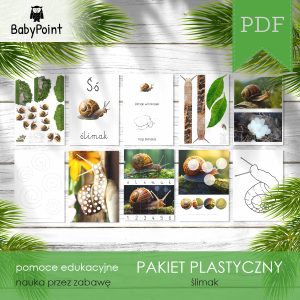 ŚLIMAK - Pakiet plastyczny