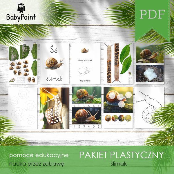ŚLIMAK - Pakiet plastyczny