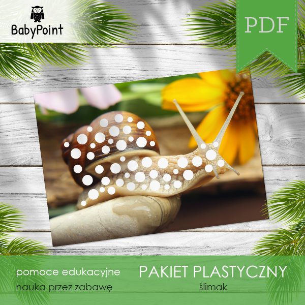 ŚLIMAK - Pakiet plastyczny