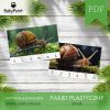 ŚLIMAK - Pakiet plastyczny