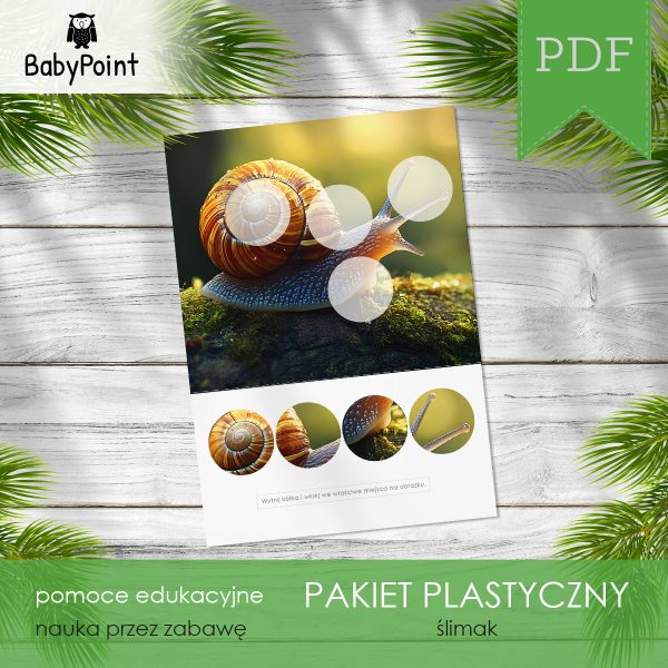 ŚLIMAK - Pakiet plastyczny