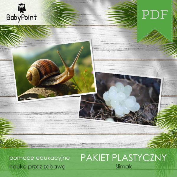 ŚLIMAK - Pakiet plastyczny