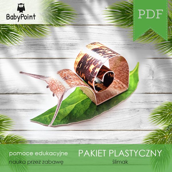 ŚLIMAK - Pakiet plastyczny