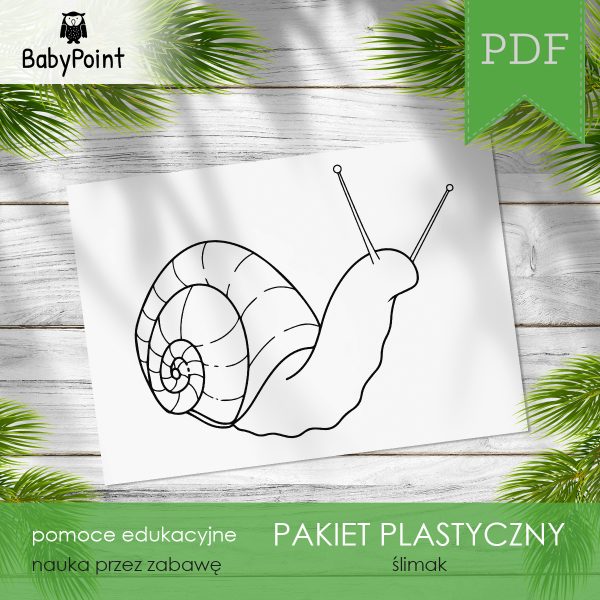 ŚLIMAK - Pakiet plastyczny