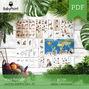 KOTY - Zestaw edukacyjny 3D