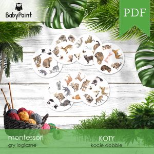 KOTY - Gra dobble