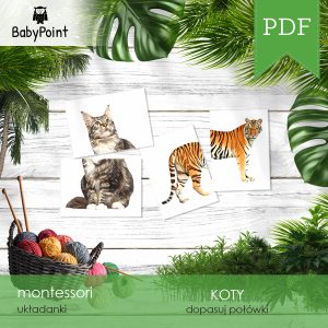 KOTY - Dopasuj