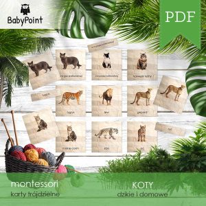 KOTY - Zestaw edukacyjny 3D