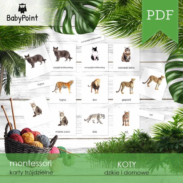 KOTY - Zestaw edukacyjny 3D