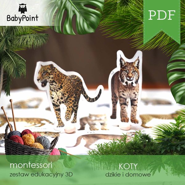 KOTY - Zestaw edukacyjny 3D