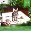 KOTY - Zestaw edukacyjny 3D