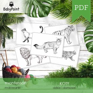 KOTY - Zestaw edukacyjny 3D