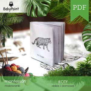 KOTY - Zestaw edukacyjny 3D