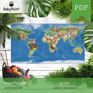 KOTY - Zestaw edukacyjny 3D