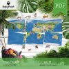KOTY - Zestaw edukacyjny 3D