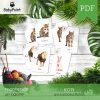 KOTY - Gra karciana Piotruś
