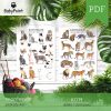 KOTY - Zestaw edukacyjny 3D
