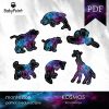 KOSMOS - Gwiazdy