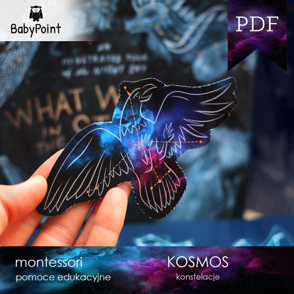 KOSMOS - Gwiazdy
