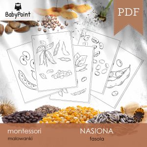 NASIONA - FASOLA - Malowanki