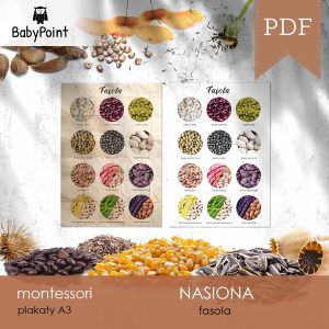 NASIONA - FASOLA - Plakat