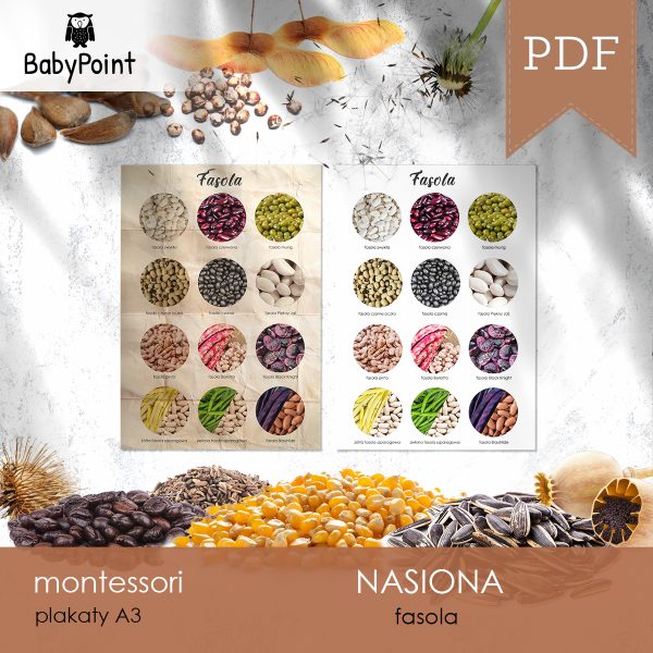 NASIONA - FASOLA - Plakat